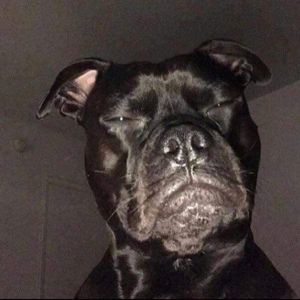 Meet your Posher, Ricardo